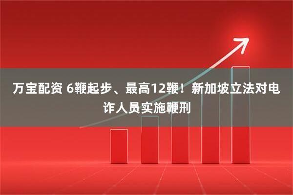 万宝配资 6鞭起步、最高12鞭！新加坡立法对电诈人员实施鞭刑
