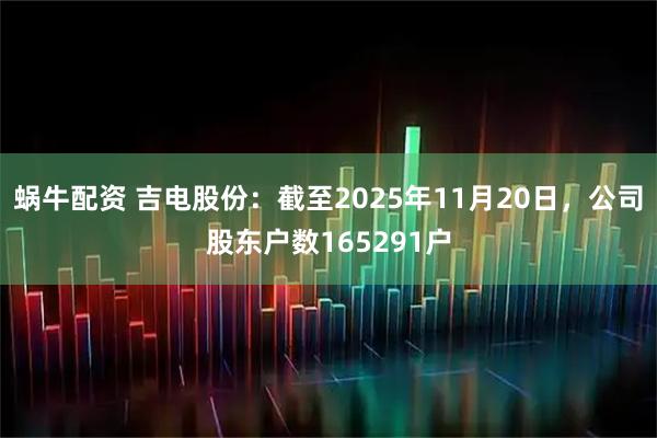 蜗牛配资 吉电股份：截至2025年11月20日，公司股东户数165291户