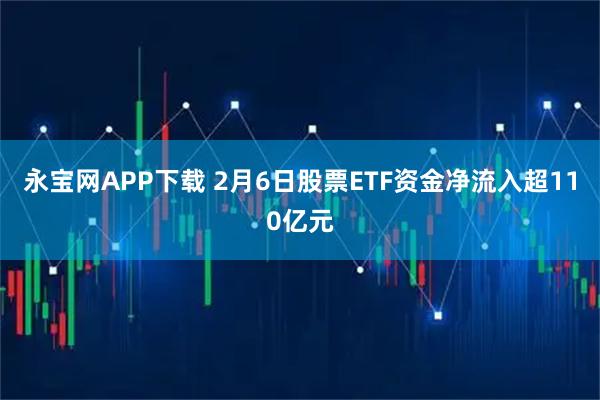 永宝网APP下载 2月6日股票ETF资金净流入超110亿元